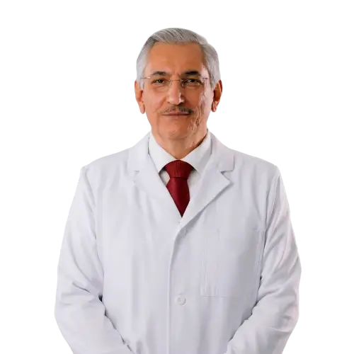 Ing. Martín Ramírez